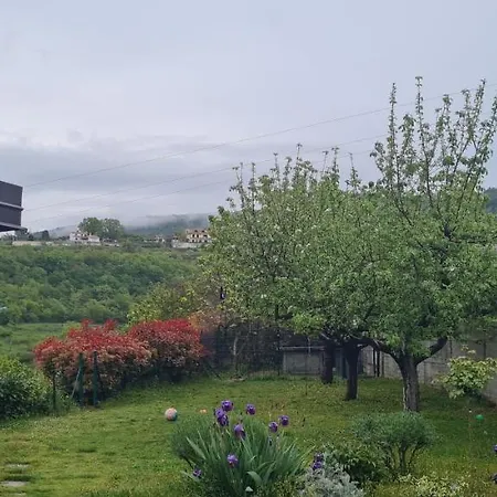 Apartma Monte